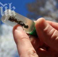 Tреска за злато край Велико Търново 