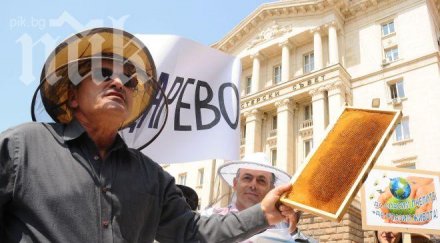 протеста пчеларите участва марин райков