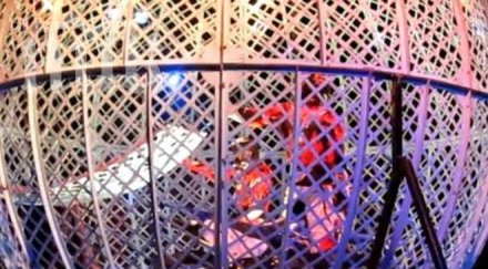 акробати мотори тежко ранени номер глобуса смъртта