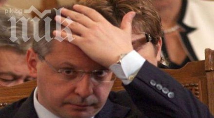станишев фирма бойко пашата цветелина бориславова взела кредит $15 млн