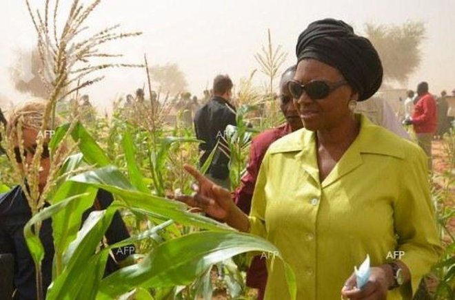 Конфликтът в Сирия довел до хуманитарна катастрофа