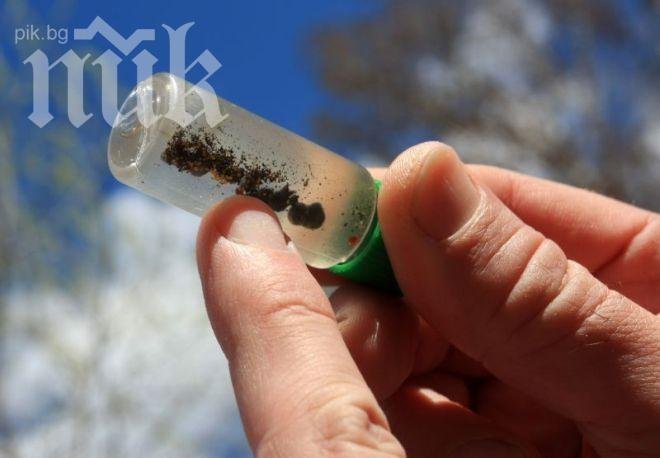 Tреска за злато край Велико Търново 