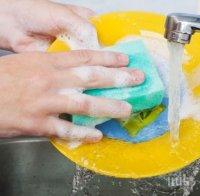 Гъбата в кухнята - по-мръсна от тоалетната