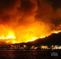 Горски пожари вилнеят в Македония и Гърция