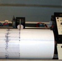 БАЛКАНИТЕ СЕ ЛЮЛЕЯТ! Силно земетресение разклати Вранча