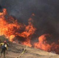 Огнен ужас в Тунис! Пожарите обхванаха повече от 2000 хектара гори