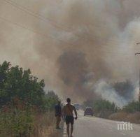 Добра новина от Бургас! Овладяха пожара край Изворище