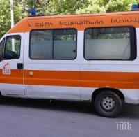 ИНЦИДЕНТ В РОДОПИТЕ! Автобус блъсна сърна, пострада пътничка