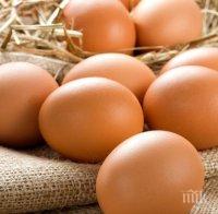 Изтеглят милиони яйца от продажба в Европа - съдържали отровно вещество