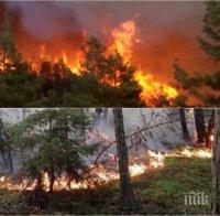 ИЗВЪНРЕДНО! Огнен ужас в Македония! Огромният пожар е извън контрол, ситуацията е критична