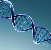 Учени коригираха проблемни гени от човешкия геном