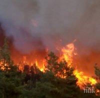 ОГНЕНИЯТ АД В МАКЕДОНИЯ! Наш Ми-17 помага за гасенето на големия горски пожар 