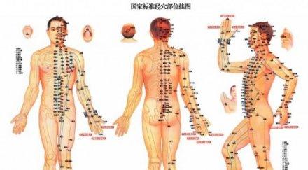 уникално важният орган здравето пазите