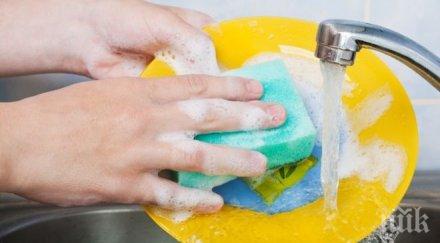 гъбата кухнята мръсна тоалетната
