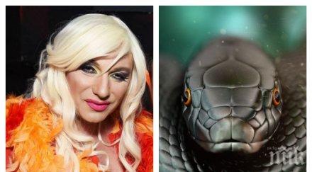 първо пик черна мамба захапа елза парини варненската кокона диша положението тежко снимки