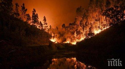 шест пожарни екипа водоноски гасят огъня бургаско цяла нощ