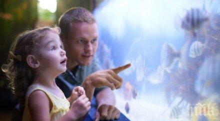 внимание казвайте детето умно