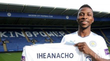 официално келеши стана лисица