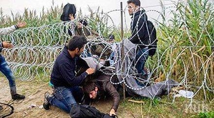 будни граждани заловиха нелегални мигранти петричко село