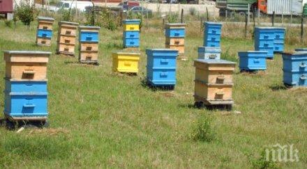 запалиха кошерите възрастен пчелар