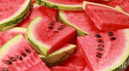 почетем деня динята факта невероятен плод