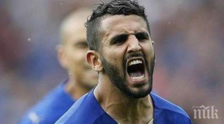 рома огромна оферта лидер лисиците