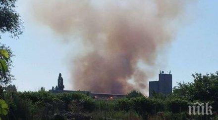 пожарът кравефермата поповица умишлен