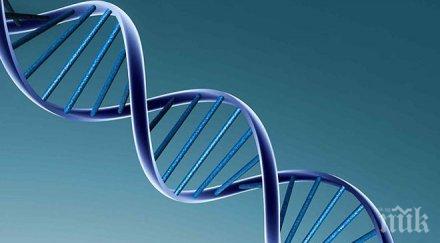учени коригираха проблемни гени човешкия геном