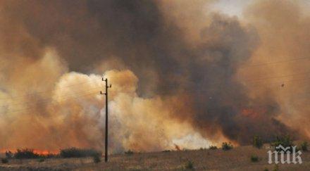 последните минути голямата кравеферма българия гори видео