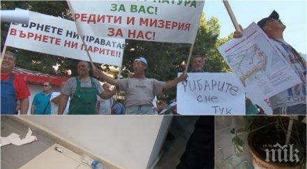 ексклузивно първо пик вижте кадри кървавото меле протестиращи балчик снимки видео