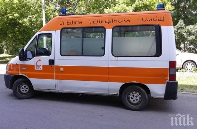 ИНЦИДЕНТ В РОДОПИТЕ! Автобус блъсна сърна, пострада пътничка