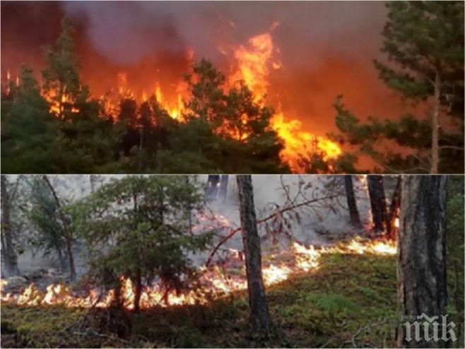 ИЗВЪНРЕДНО! Огнен ужас в Македония! Огромният пожар е извън контрол, ситуацията е критична