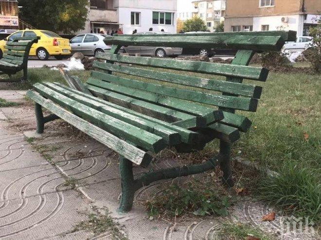 ПОРЕДНАТА АЛО-ИЗМАМА: Дядо остави 7 хиляди лева на пейка в Пловдив