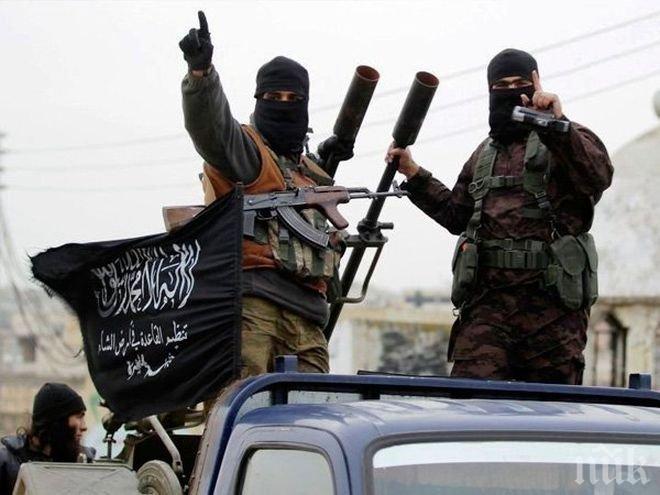 В САЩ притеснени от сериозните последствия, ако „Ал Кайда“ продължи да доминира в Идлиб