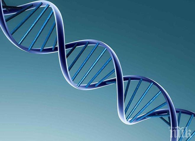 Учени коригираха проблемни гени от човешкия геном