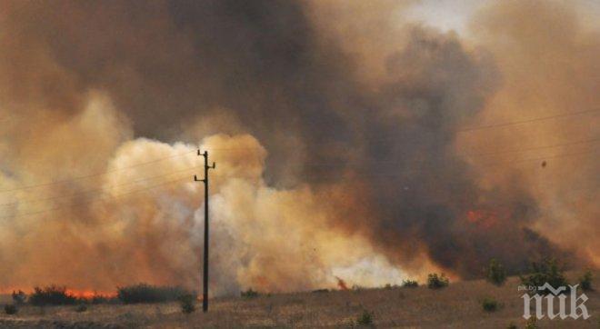 ОТ ПОСЛЕДНИТЕ МИНУТИ! Най-голямата кравеферма в България още гори (ВИДЕО)