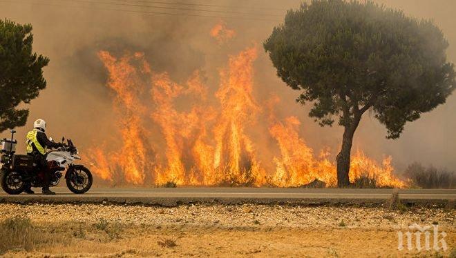 ИЗВЪНРЕДНО! Огромен пожар бушува край бургаско село
