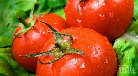 изненада пазара градинските домати евтини оранжерийните