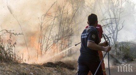нечувано палежите италия били умишлено дават пари доброволци