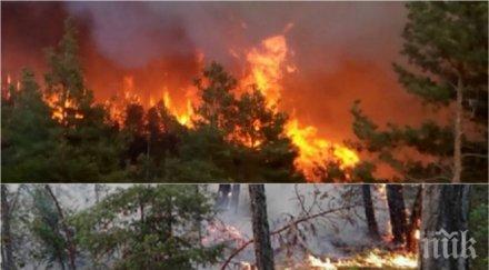 тийнейджър запалил един големите пожари македония