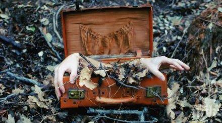 зловеща находка отрязани човешки ръце открити багажа китаец