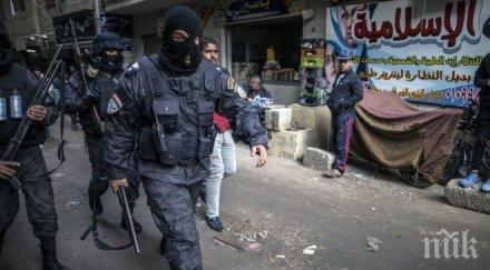 правозащитници началото 2017 египет 254 случая принудително изчезване