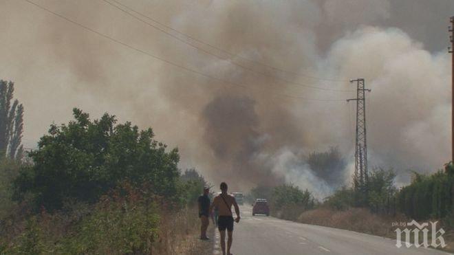 Овладяха напълно пожара край Бургас