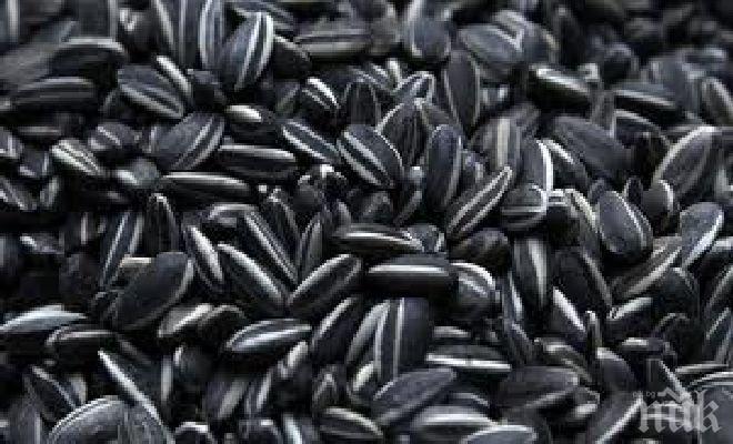 ВОЙНА! Кмет каза край на семките в парка