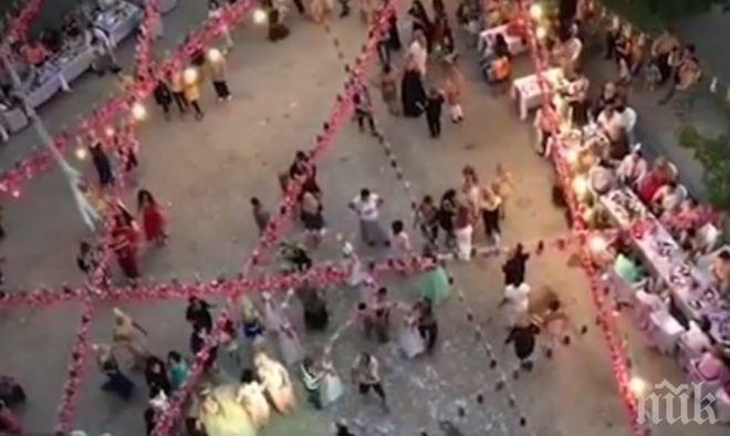 Не се спират! Ромската махала Столипиново се тресе от диви кючеци, хората са в ужас (ВИДЕО)