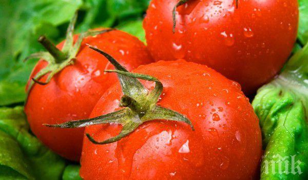 Изненада на пазара! Градинските домати по-евтини от оранжерийните