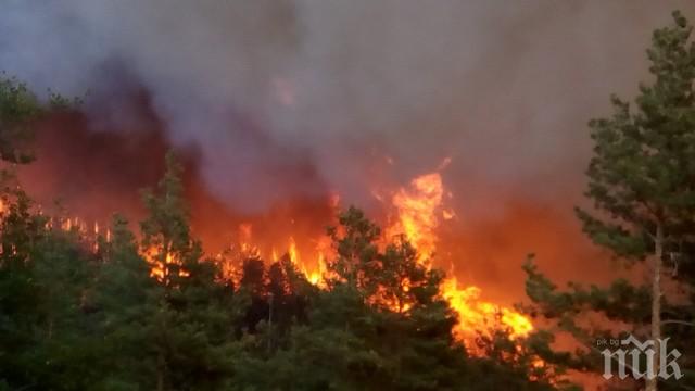 ОГНЕНА СТИХИЯ! Огромен пожар бушува край Рилци, 4 пожарни гасят пламъците