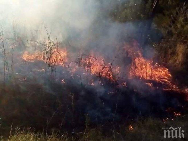 Пожар лумна в района на Бобошево, горят треви и храсти