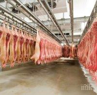 Спряха 20 тона нелегално свинско в Русе