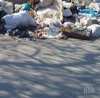 ТИР задръсти с тонове боклуци Рогошко шосе в Пловдив (СНИМКИ)